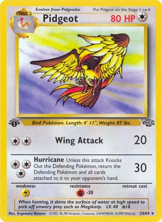 Pidgeot (24) 24/64 - [Jungle] 1st Edition