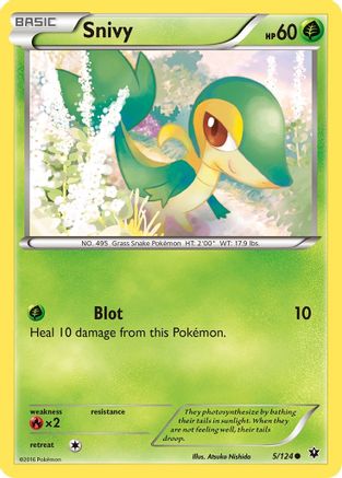 Snivy (5/124) [XY : Les destins entrent en collision] 