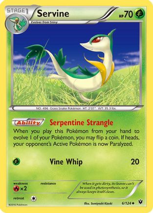 Servine (6/124) [XY : Les destins entrent en collision] 