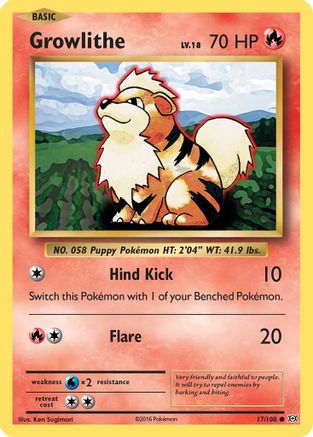 Growlithe (17/108) [XY : Evolutions] 