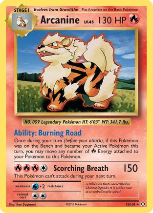 Arcanin (18/108) [XY : Evolutions] 