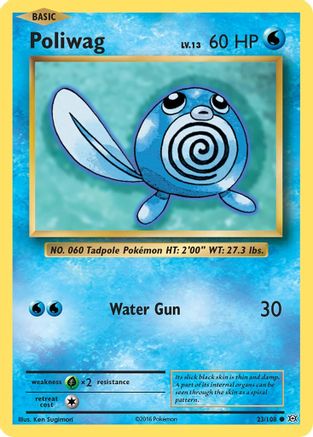 Poliwag (23/108) [XY : Évolutions] 