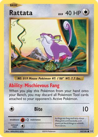 Rattata (66/108) [XY : Évolutions] 