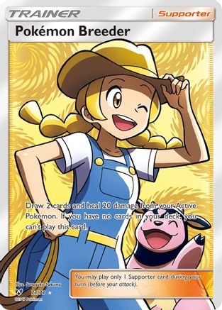 Éleveur de Pokémon (73/73) [Soleil et Lune : Légendes brillantes] 