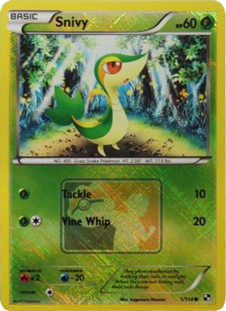 Snivy (1/114) (Promo de la Ligue) [Noir et Blanc : Ensemble de base] 