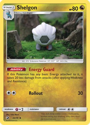 Shelgon 43/70 - [Dragon Majesty]