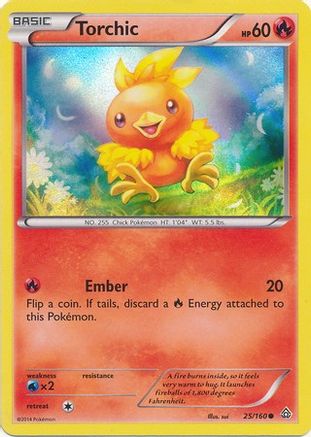 Torchic (25/160) (Sheen Holo) [XY : Primal Clash] 