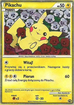 Pikachu (Polish) PW - [Pikachu World Collection Promos] Holofoil