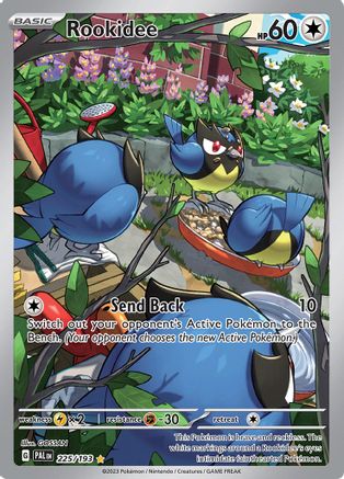 Rookidee (225/193) [Écarlate et Violet : Paldea Evolved] 