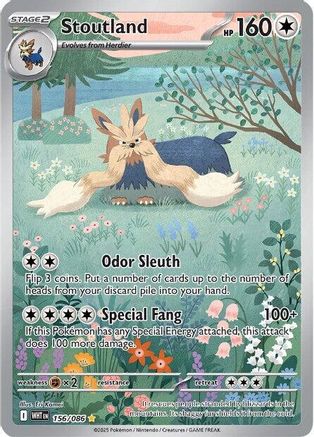 Stoutland - 156/086 156 - [SV White Flare] Holofoil