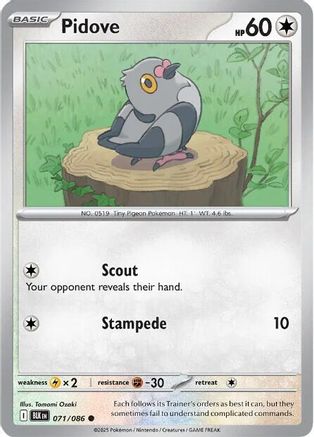 Pidove 71 - [SV Black Bolt] Reverse Holofoil
