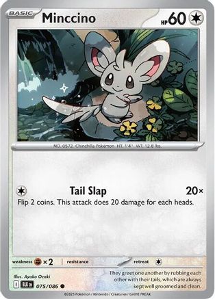 Minccino 75 - [SV Black Bolt]