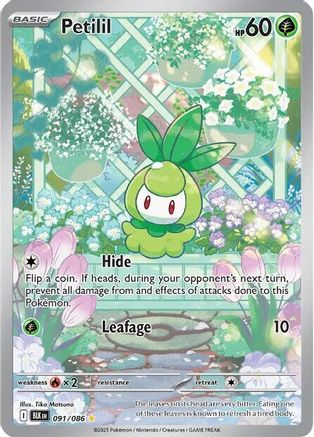 Petilil - 091/086 91 - [SV Black Bolt] Holofoil