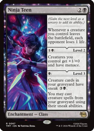 Ninja Teen (TMT-067) - [Teenage Mutant Ninja Turtles]