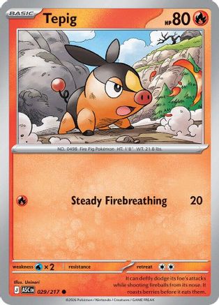 Tepig 29 - [ME Ascended Heroes]