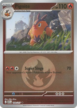 Pignite (Energy Symbol Pattern) 30 - [ME Ascended Heroes] Reverse Holofoil