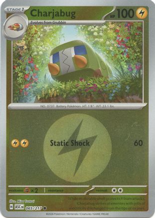 Charjabug (Energy Symbol Pattern) 65 - [ME Ascended Heroes] Reverse Holofoil