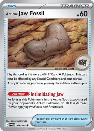 Antique Jaw Fossil 68 - [ME03 Perfect Order]