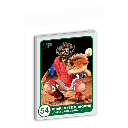 Ultra PRO Team Bags Resealable Sleeves (100ct)