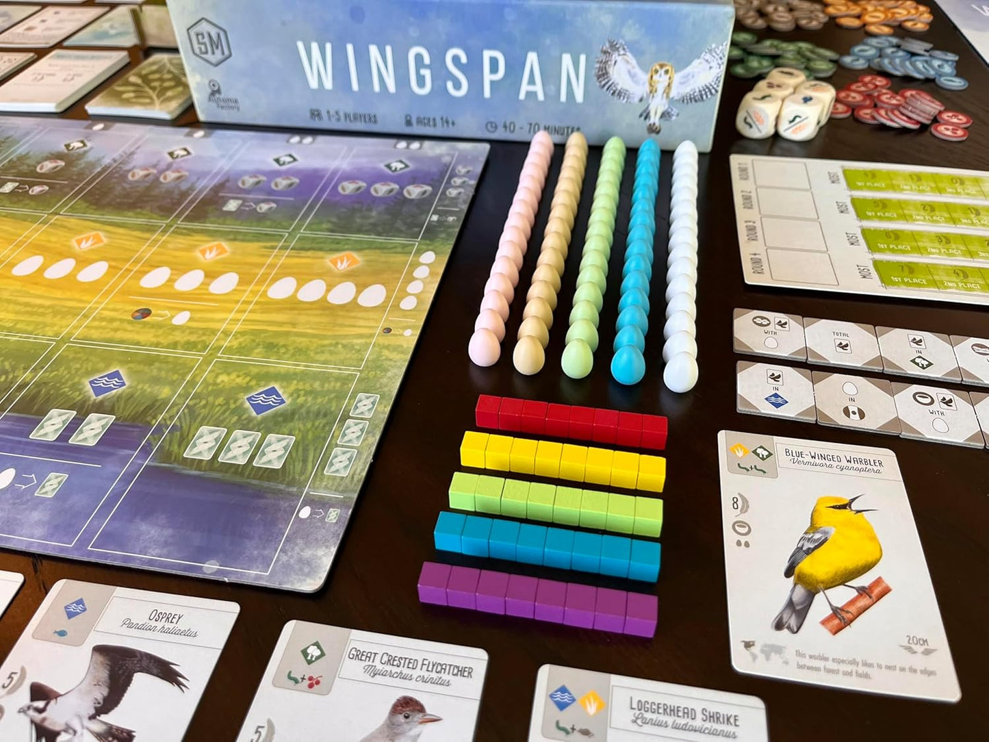 Wingspan (with Swift Start)
