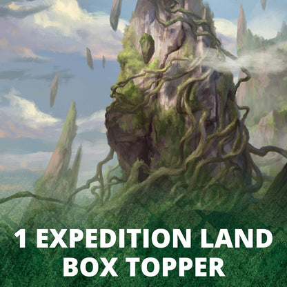 MTG Zendikar Rising Draft Booster Box