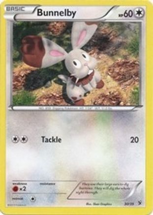 Bunnelby/39 - [Kalos Starter Set]