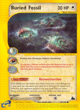 Buried Fossil/144 - [Skyridge]
