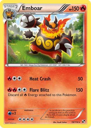 Emboar (19/114) [Noir et blanc : ensemble de base] 