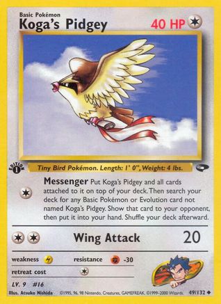 Koga's Pidgey (49) 49/132 - [Gym Challenge] 1st Edition