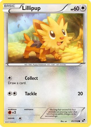 Lillipup (81/114) [Noir et blanc : ensemble de base] 