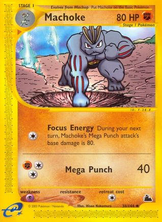 Machoke (38/144) [Skyridge] 