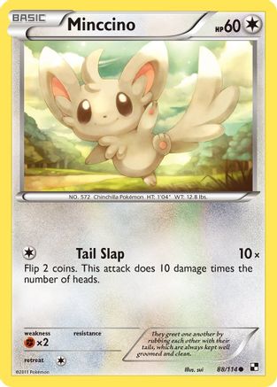 Minccino (88/114) [Noir et blanc : ensemble de base] 