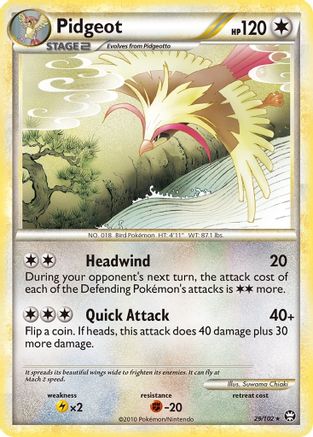 Pidgeot/102 - [Triumphant]