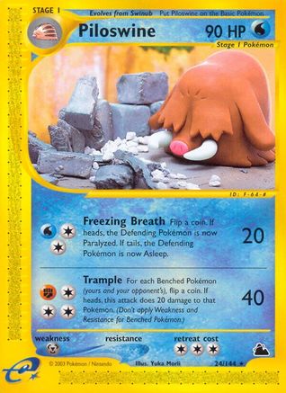 Piloswine (24)/144 - [Skyridge]