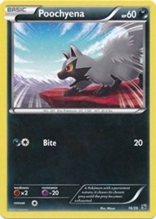Poochyena/39 - [Kalos Starter Set]