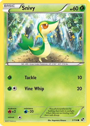 Snivy (1/114) [Noir et blanc : ensemble de base] 