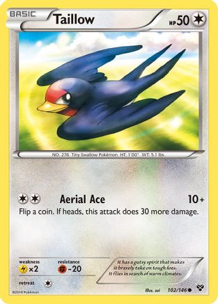 Taillow (102/146) [XY : ensemble de base] 