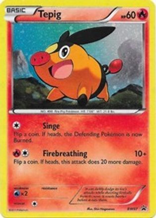 Tepig - BW07 BW07/101 - [Black and White Promos] Holofoil
