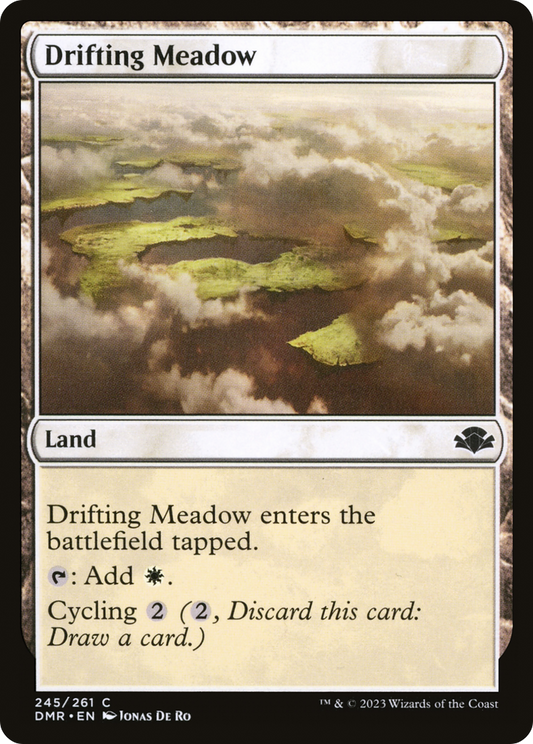 Drifting Meadow (DMR-245) - [Dominaria Remastered] Foil