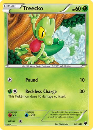 Treecko (6/116) [Noir et blanc : Gel du plasma] 