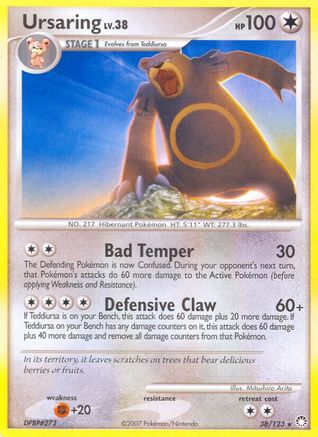 Ursaring/123 - [Mysterious Treasures]