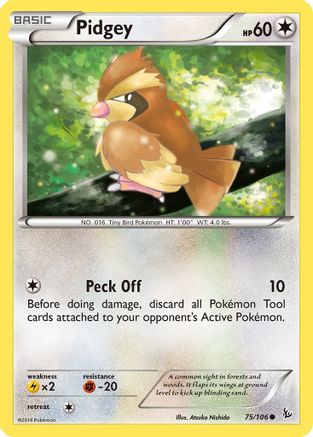 Pidgey 75/106 - [XY  Flashfire]