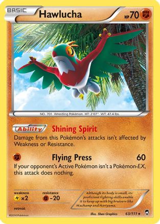 Hawlucha 63/111 - [XY  Furious Fists] Holofoil