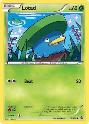 Lotad (10/160) [XY : Primal Clash] 