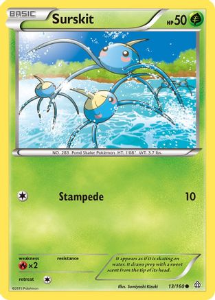 Surskit (13/160) [XY : Primal Clash] 