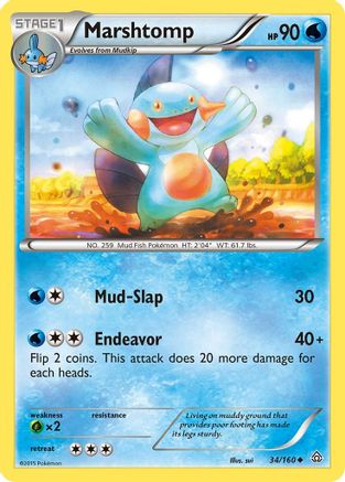 Marshtomp (34/160) [XY : Primal Clash] 