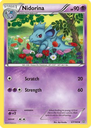 Nidorina (67/160) [XY : Primal Clash] 