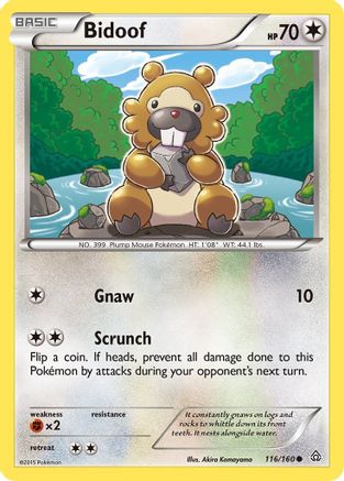 Bidoof (116/160) [XY : Primal Clash] 