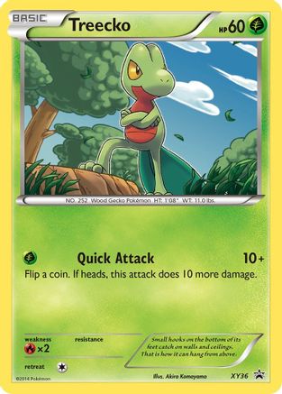 Treecko (XY36) [XY: Black Star Promos]