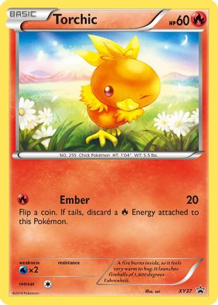 Torchic (XY37) [XY : Promos Black Star] 